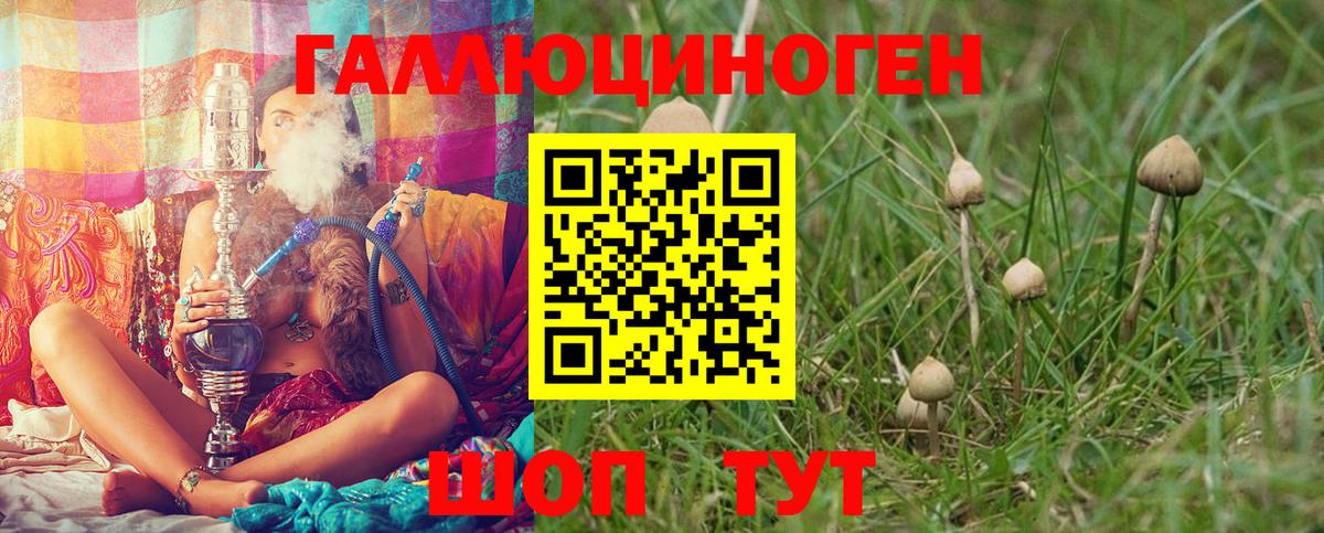 Псилоцибиновые грибы ЛСД Заволжье