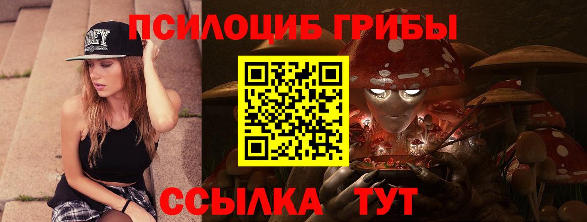 Заволжье  Псилоцибиновые грибы MAGIC MUSHROOMS  Вход с VPN 